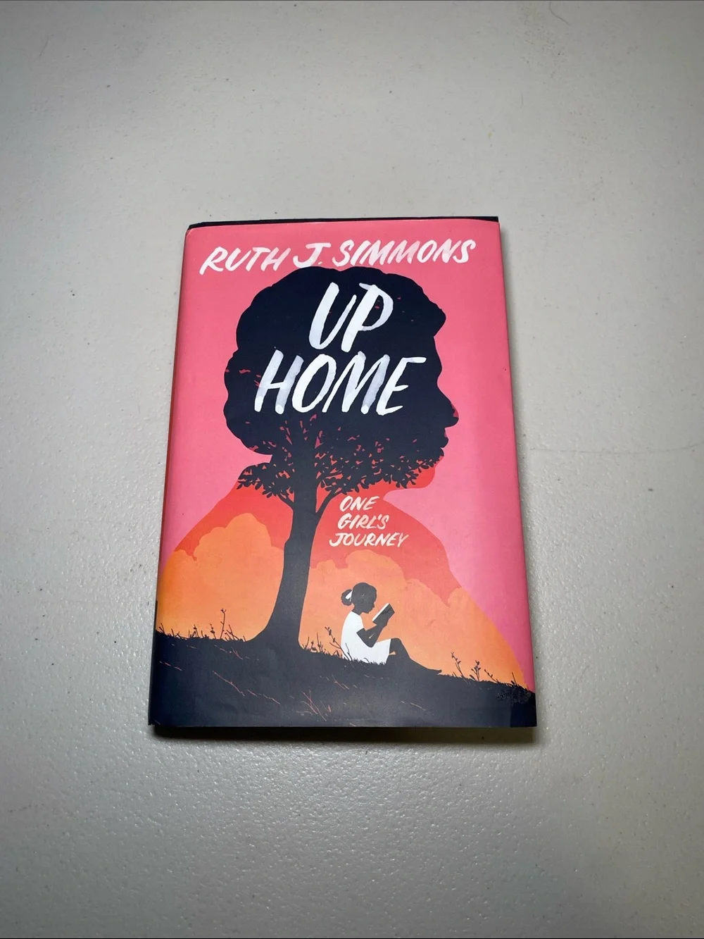 Up Home Decorative Book Cover - Pink